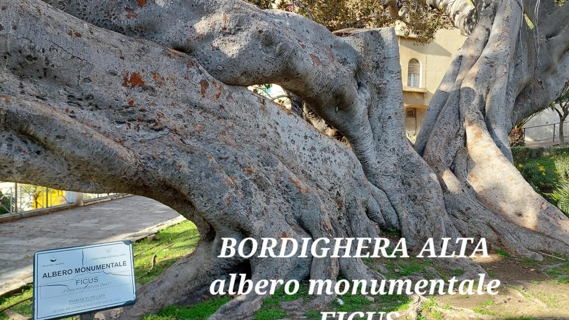 Emozioni Casa Vista Mare Bordighera Italia