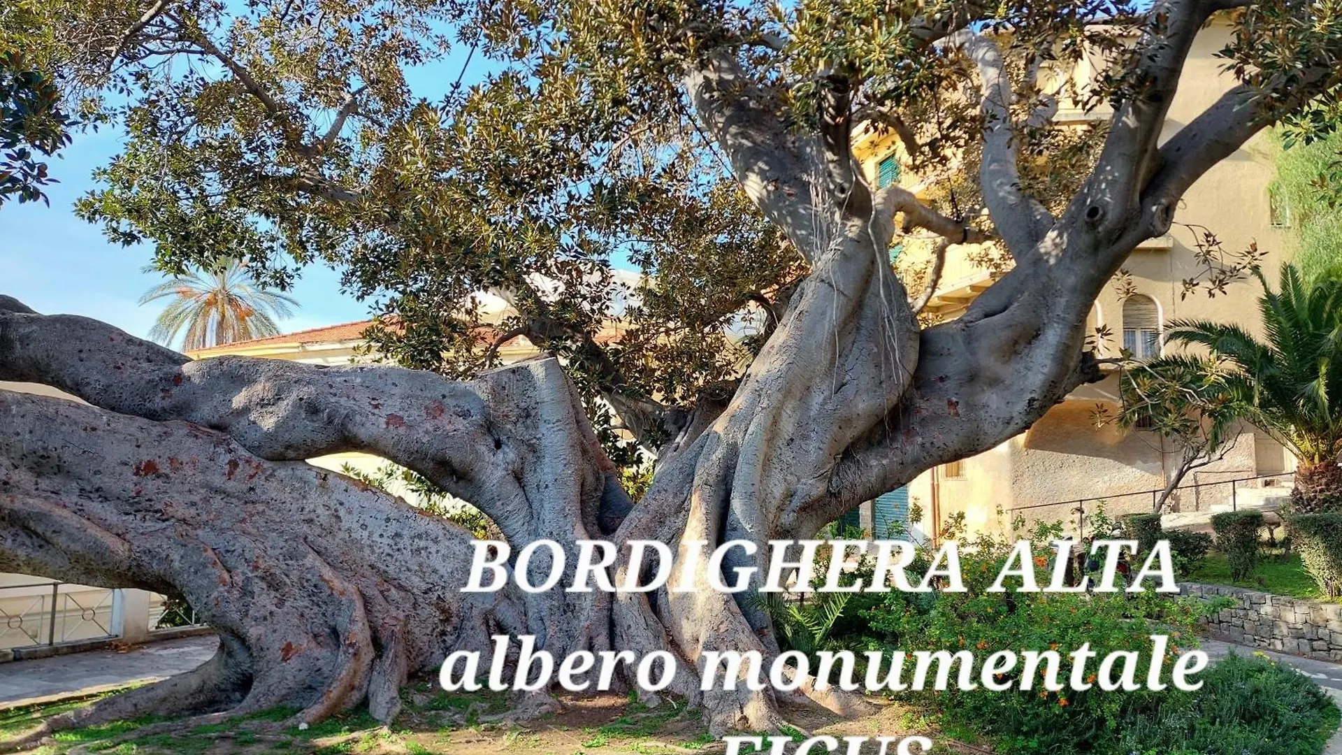 Appartamento Emozioni Casa Vista Mare Bordighera Italia