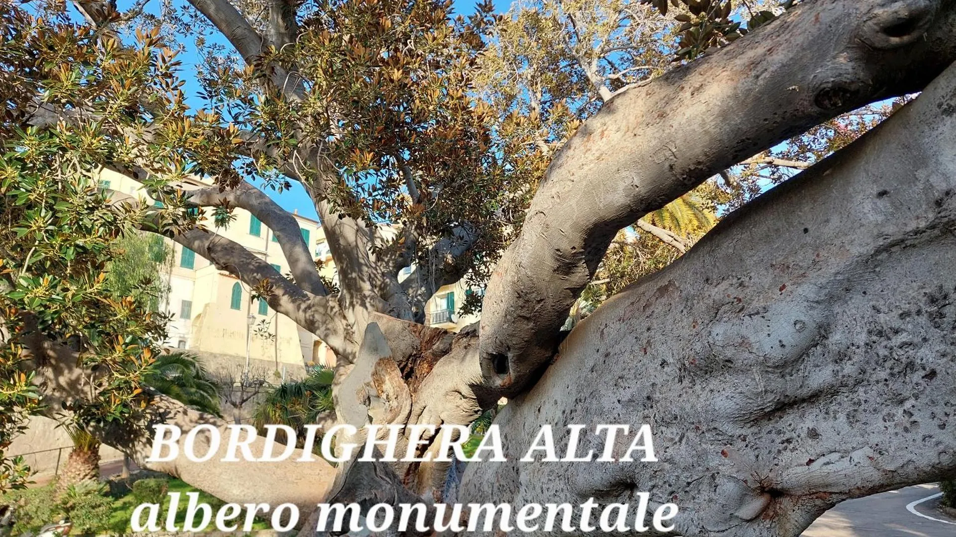 Emozioni Casa Vista Mare Bordighera 0*,