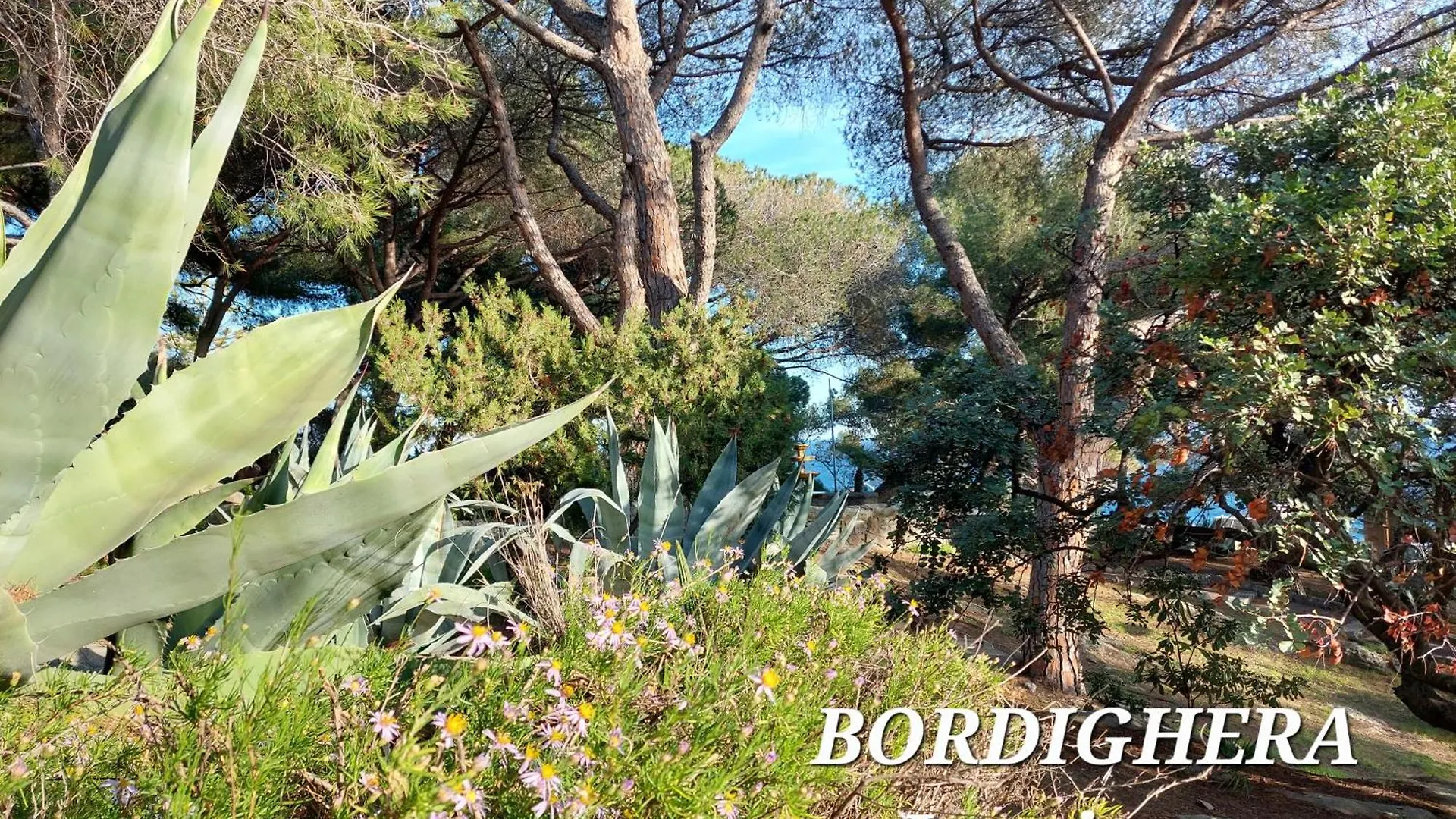 Emozioni Casa Vista Mare Bordighera