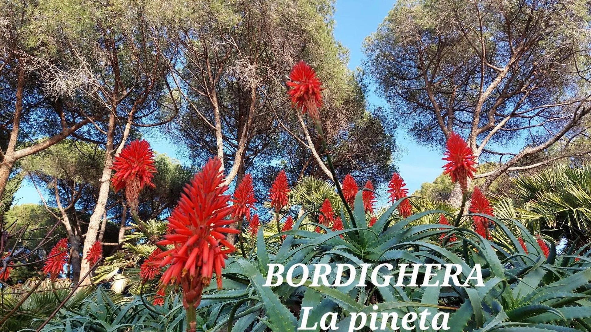 Emozioni Casa Vista Mare Bordighera 0*,  Italia